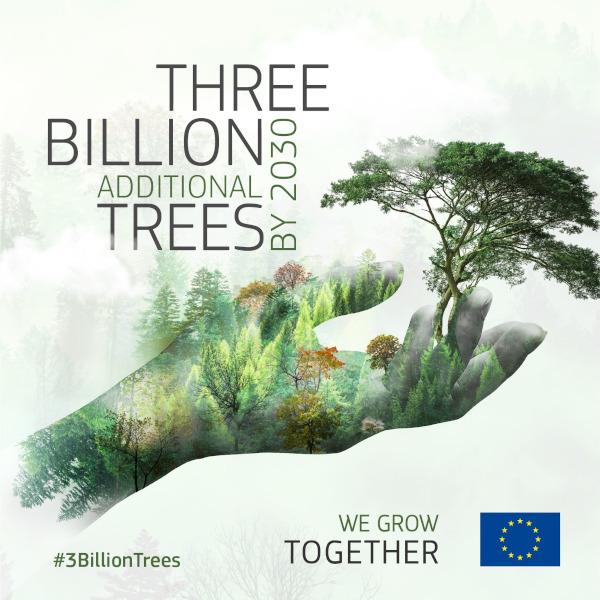 Kolmen miljardin puun sitoumus