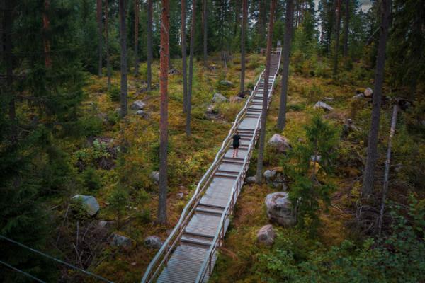 Kuntoporraskisassa 2024 selvitetään, missä päin Suomea noustaan ahkerimmin EU:n maaseuturahoitusta saaneita kuntoportaita. 